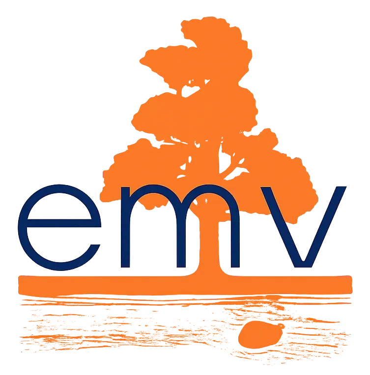 emv-logo